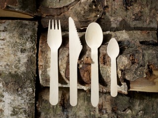 DISPOSABLE CUTLERY